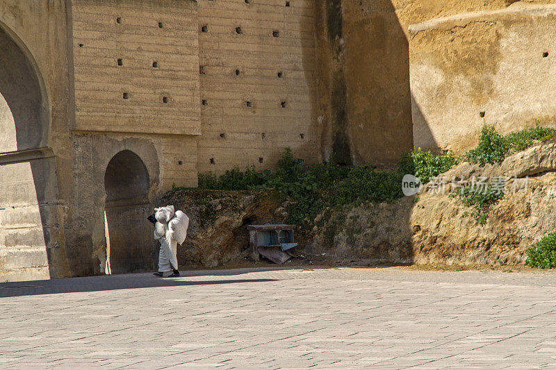 Fes el Bali，非斯的麦地那